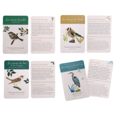 Cartes découvertes oiseaux nature